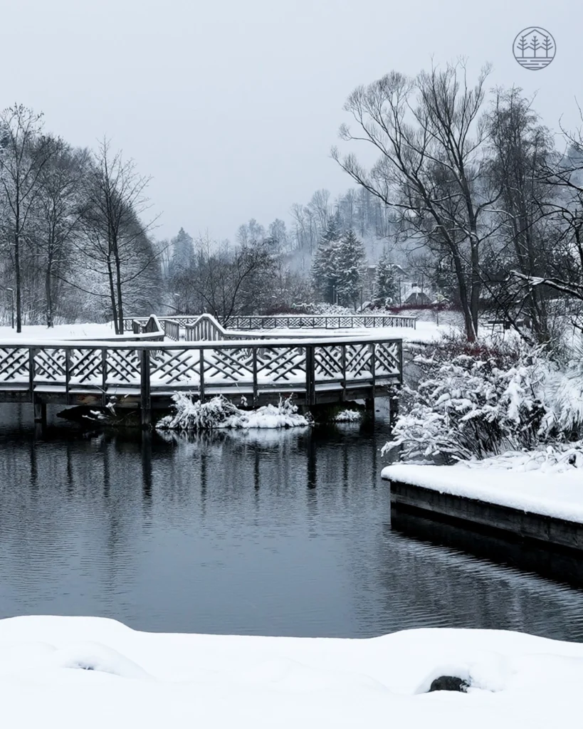 Vistula-3-4x5 Zdjęcie - Apartamenty Vistula | Wisła